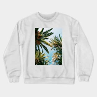 Palms in the sky Crewneck Sweatshirt